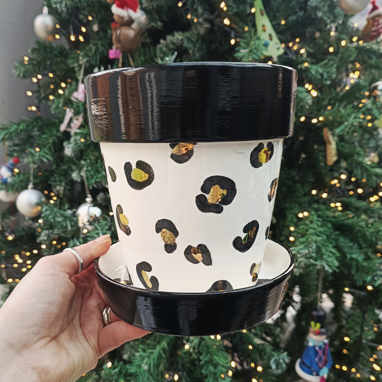Gold Leopard Plant Pot