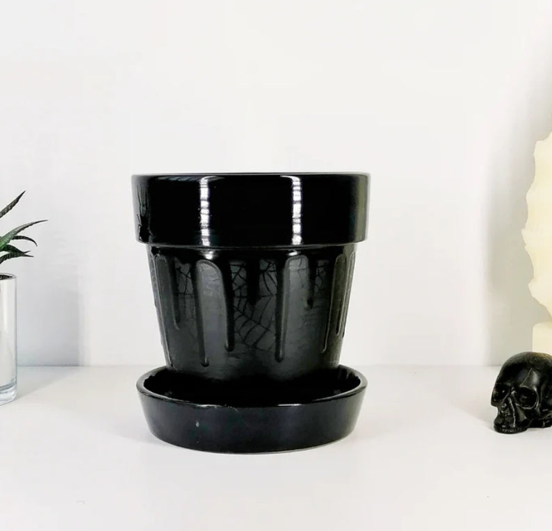 Plant Pot