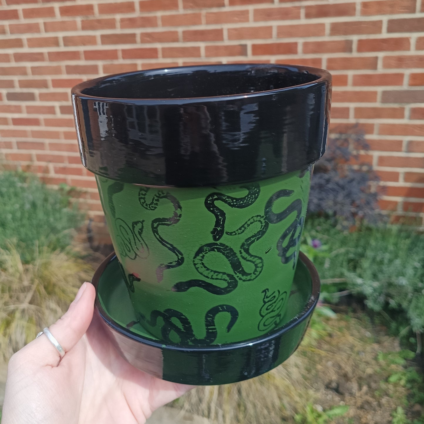 Green Snake Plant Pot
