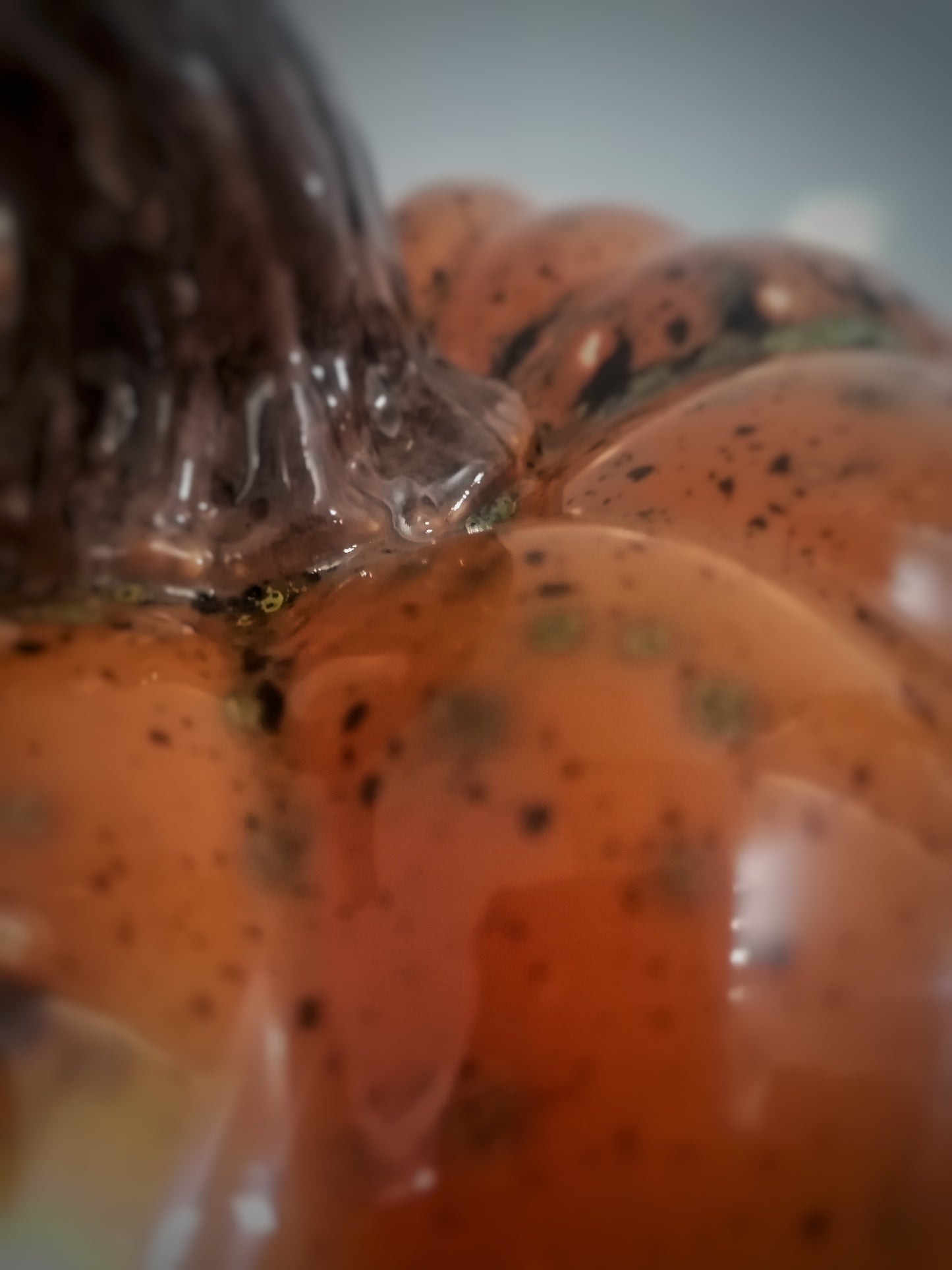 The Mouldy Pumpkin Lantern