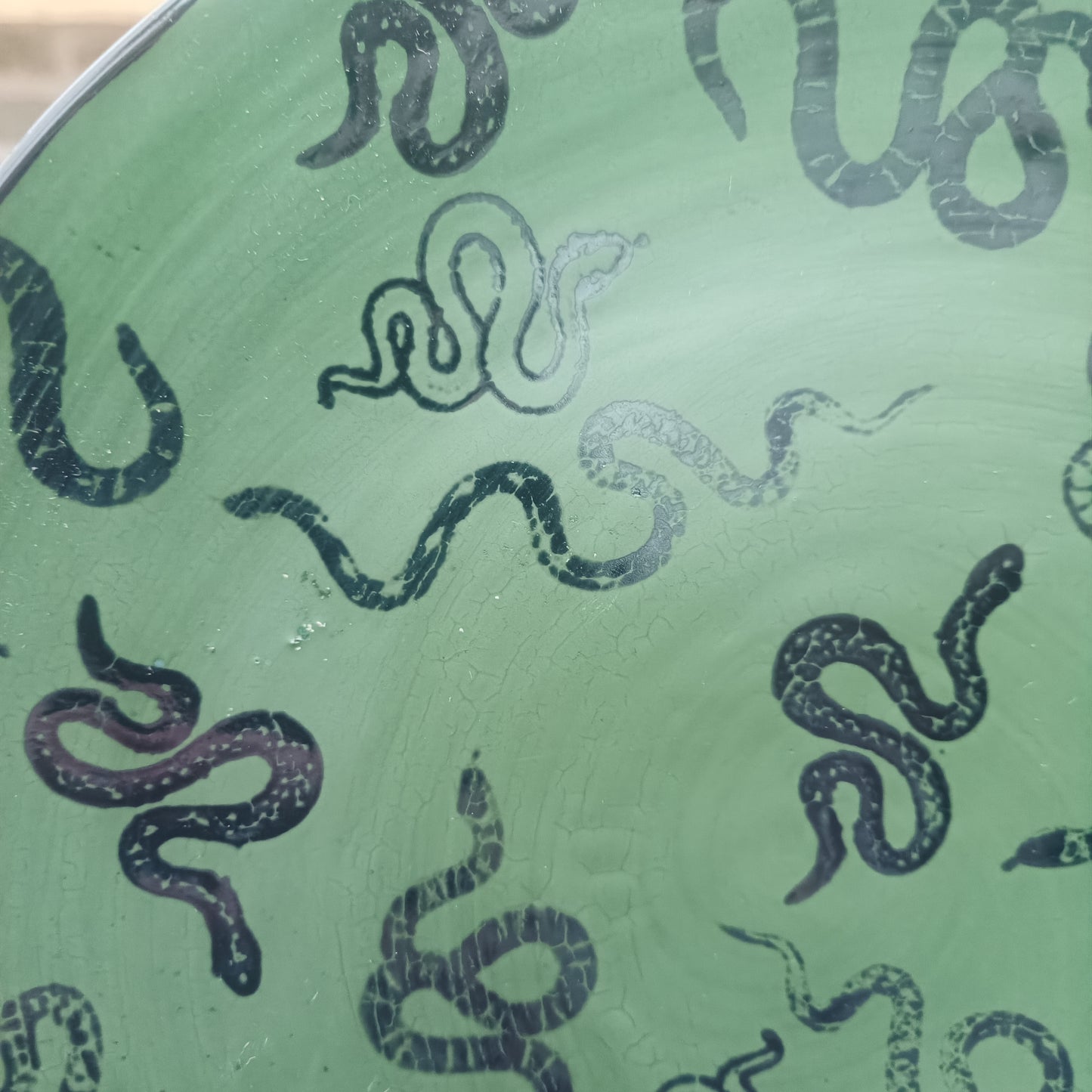 Green Snake Dinner Plate