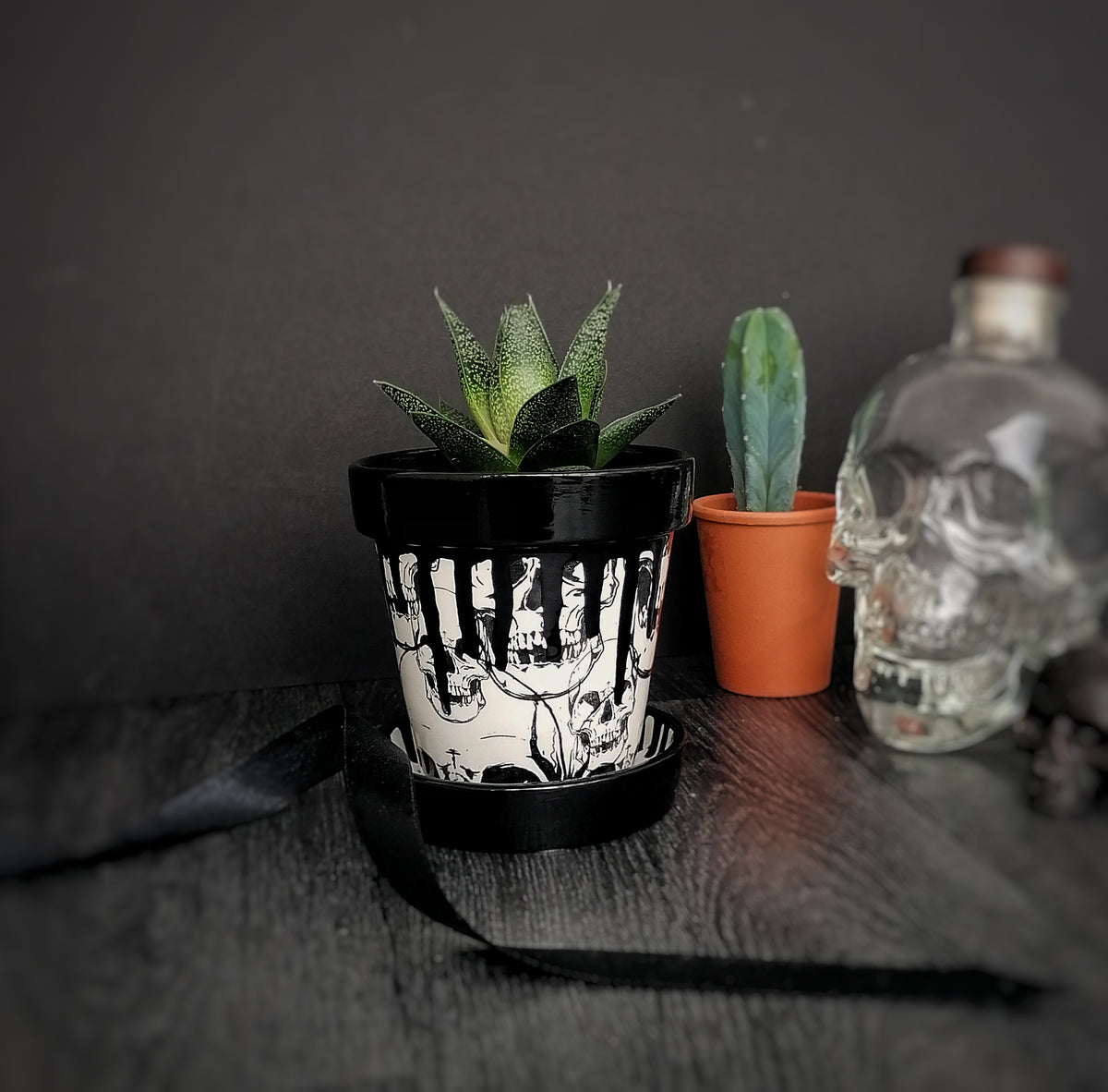 Small Plant Pot