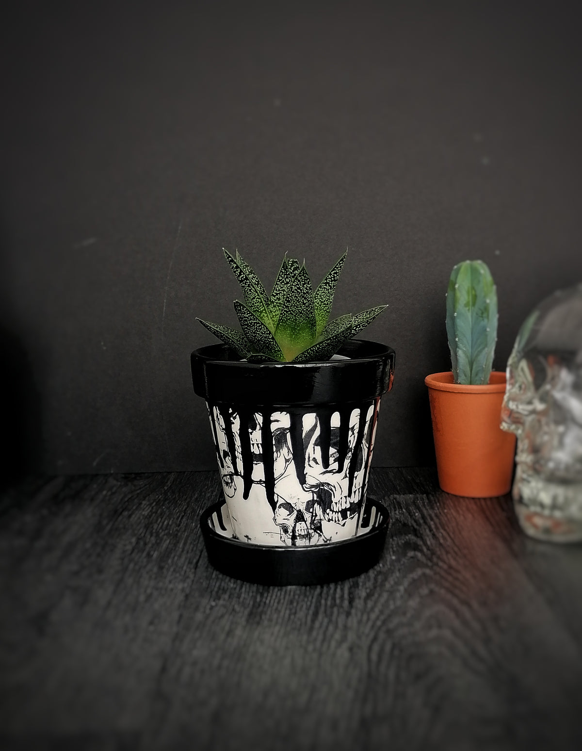 Small Plant Pot